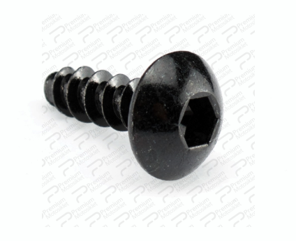 XMAX 250 KARENAJ VİDASI