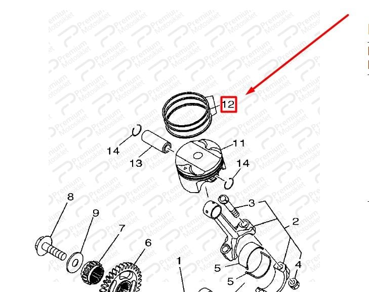 MT 25  SEKMAN SETİ  (1 SET) (2022)