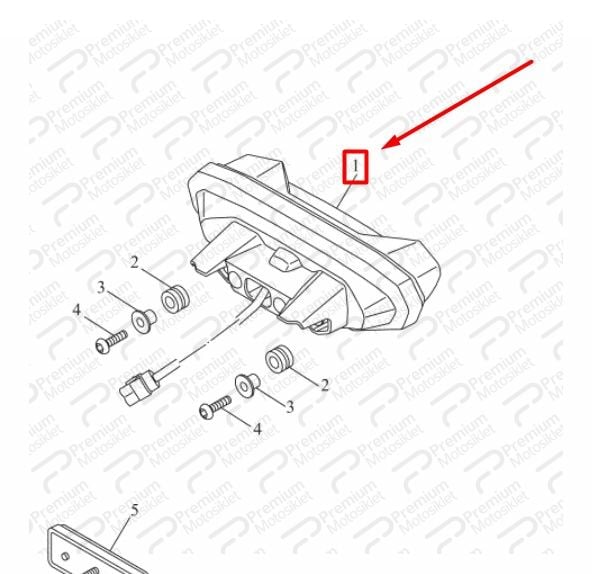 TRACER 7 ARKA STOP (2021)